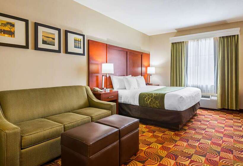 هتل Comfort Suites Lake Charles