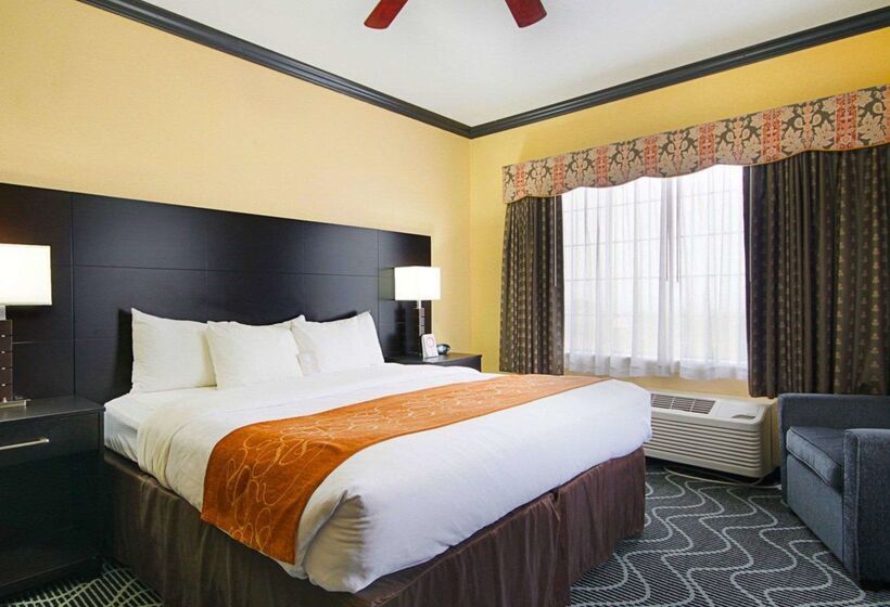 ホテル Comfort Suites Lake Ray Hubbard