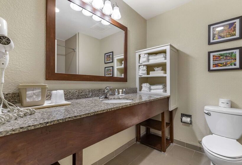 فندق Comfort Suites Medical Center Near Six Flags