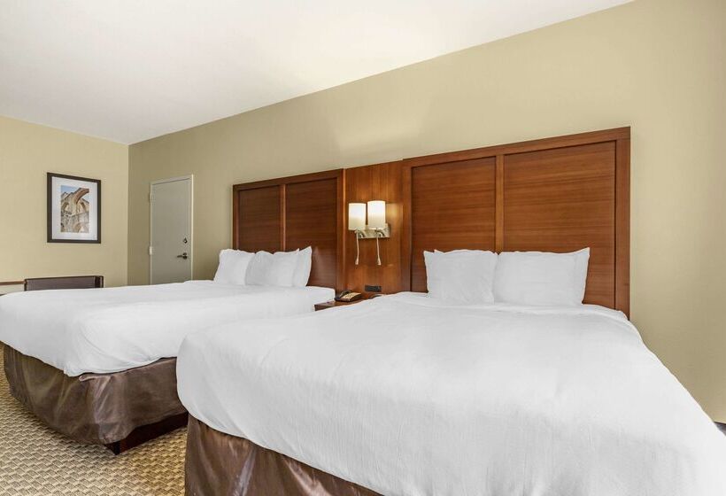 فندق Comfort Suites Medical Center Near Six Flags