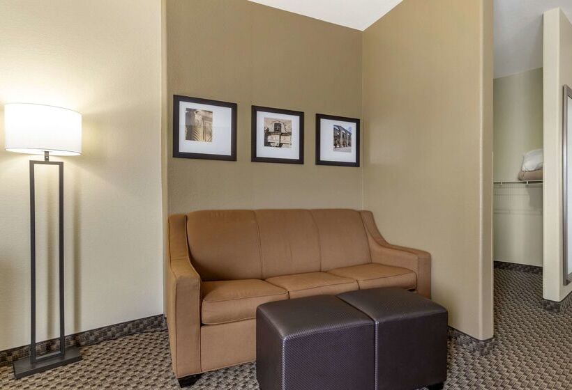 فندق Comfort Suites Medical Center Near Six Flags