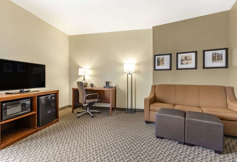 فندق Comfort Suites Medical Center Near Six Flags