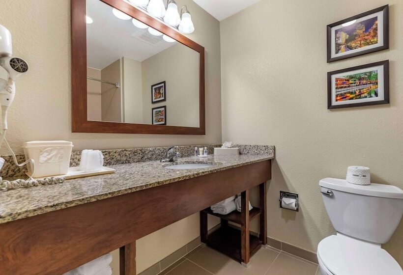 فندق Comfort Suites Medical Center Near Six Flags