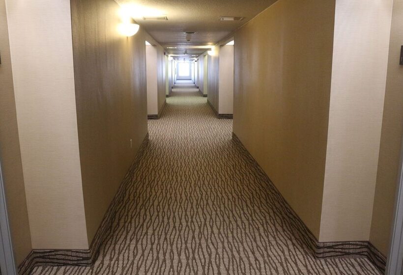 فندق Comfort Suites