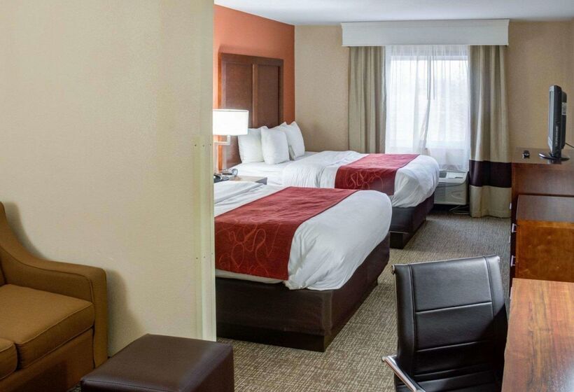 호텔 Comfort Suites