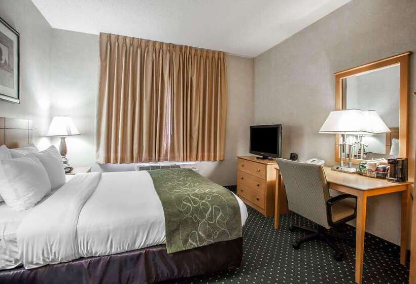 فندق Comfort Suites Peoria I 74