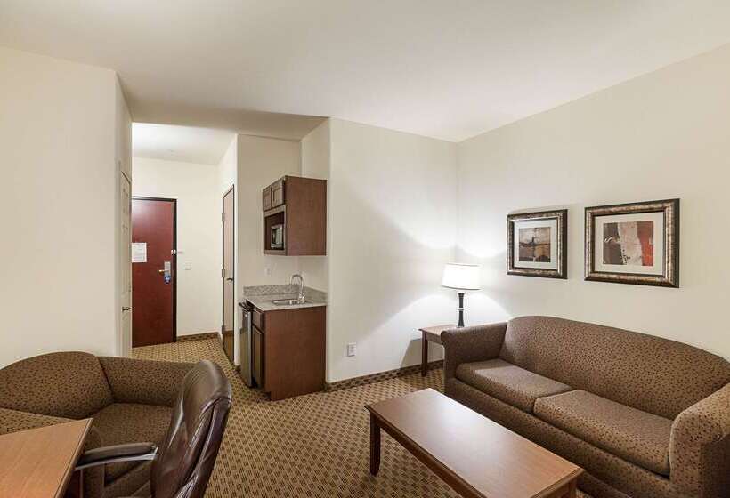 בית מלון כפרי Comfort Suites San Antonio North  Stone Oak