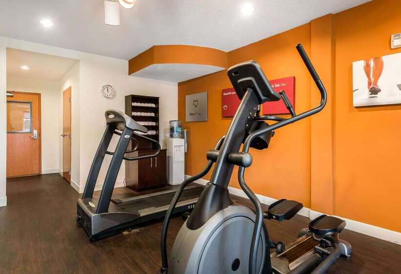 בית מלון כפרי Comfort Suites Tampa Airport North