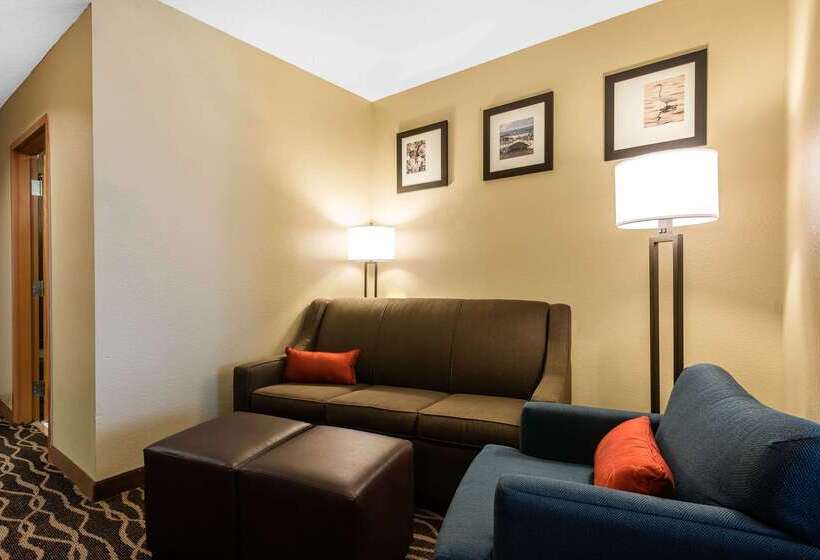 בית מלון כפרי Comfort Suites Tampa Airport North