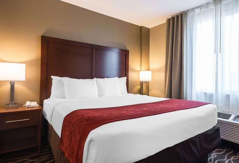 בית מלון כפרי Comfort Suites Tampa Airport North