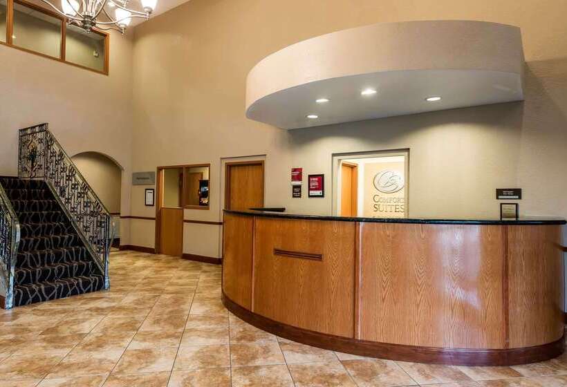 בית מלון כפרי Comfort Suites Tampa Airport North