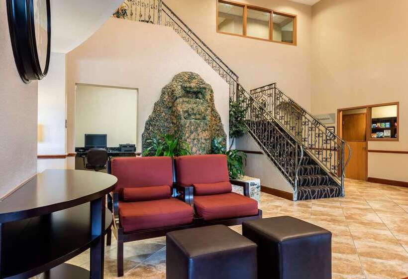 בית מלון כפרי Comfort Suites Tampa Airport North