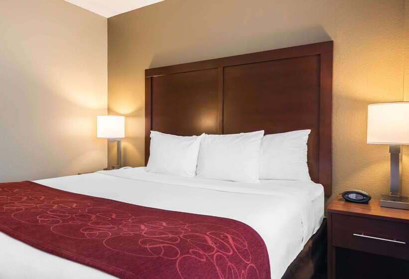 בית מלון כפרי Comfort Suites Tampa Airport North