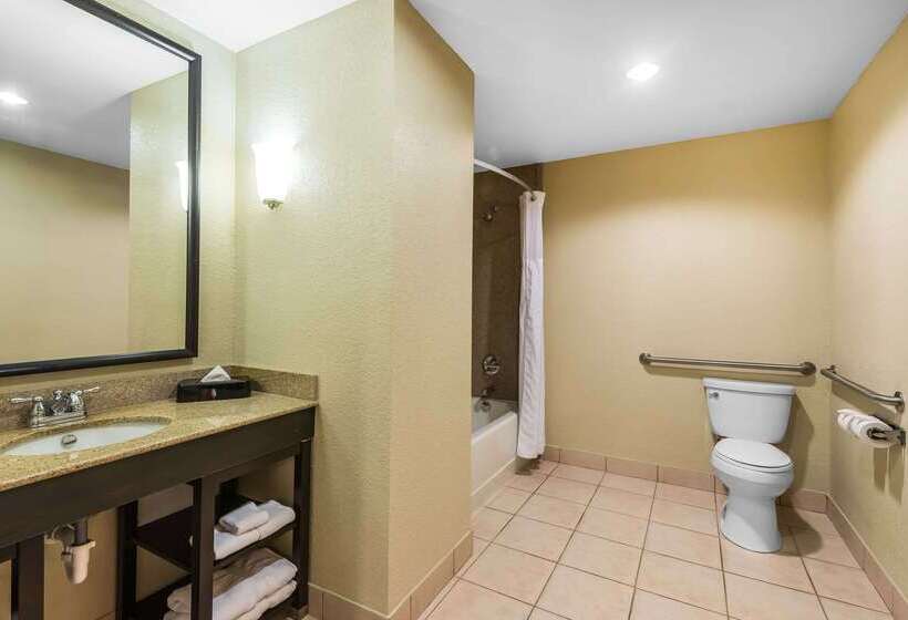 בית מלון כפרי Comfort Suites Tampa Airport North