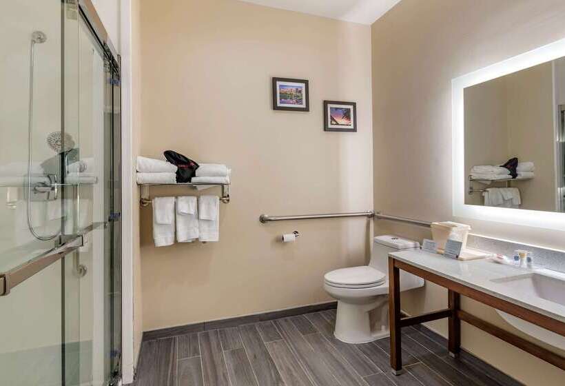 ホテル Comfort Suites West Memphis I40 I55