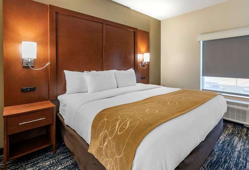 ホテル Comfort Suites West Memphis I40 I55
