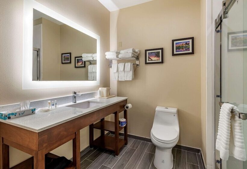 فندق Comfort Suites West Memphis I40 I55