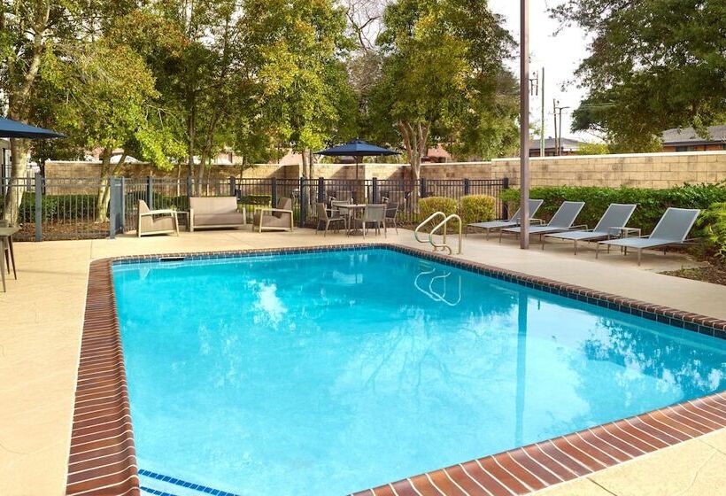 ホテル Courtyard By Marriott New Orleans Metairie