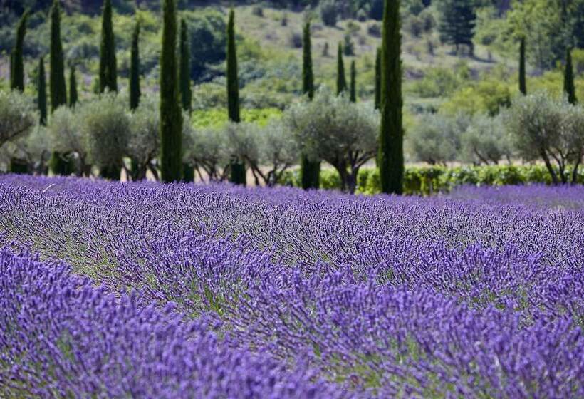 ホテル Domaine Des Andéols