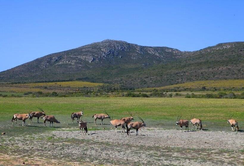 ホテル Garden Route Game Lodge