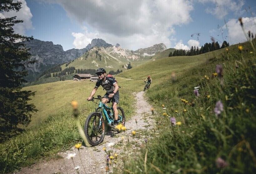 酒店 Gstaaderhof  Active & Relax