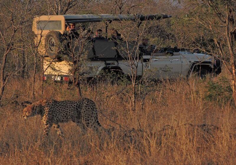 호텔 Hamiltons Tented Camp