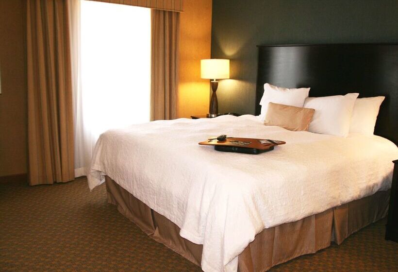 فندق Hampton Inn & Suites Barstow