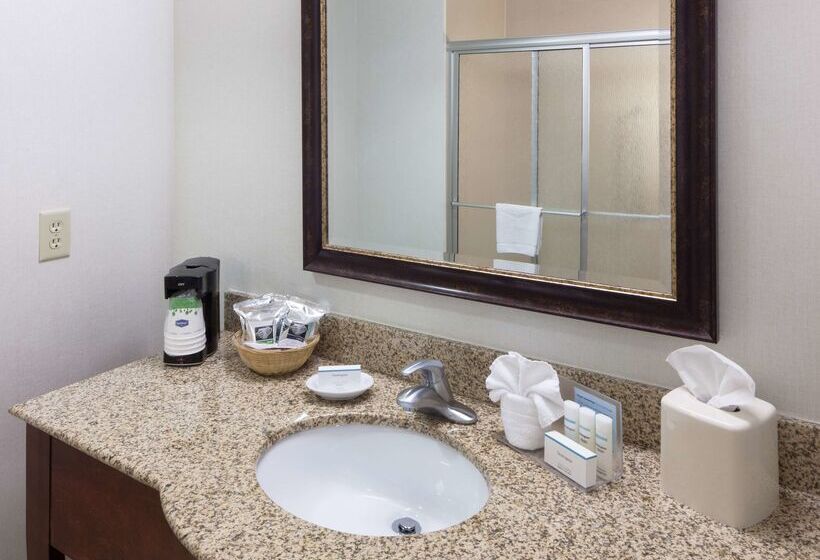 ホテル Hampton Inn & Suites Colorado Springs/i25 South