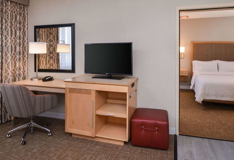 Отель Hampton Inn & Suites Denverspeer Boulevard