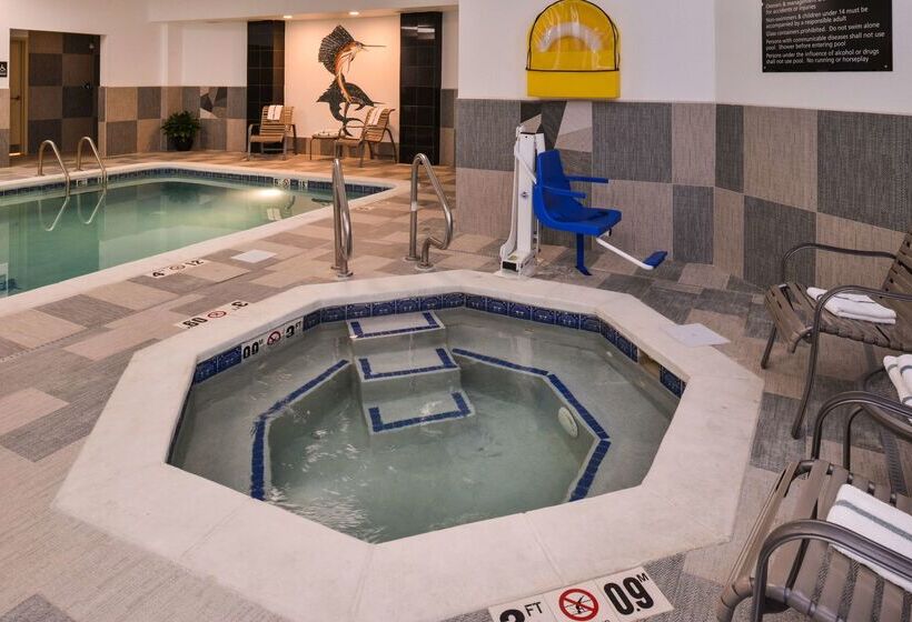 هتل Hampton Inn & Suites Denverspeer Boulevard