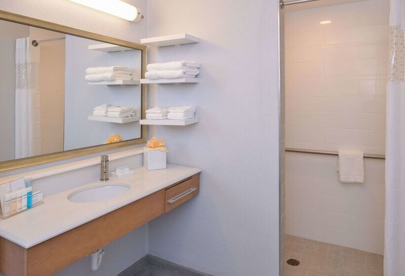 هتل Hampton Inn & Suites Denverspeer Boulevard