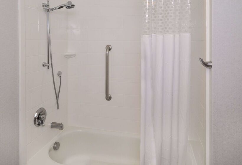 Отель Hampton Inn & Suites Denverspeer Boulevard