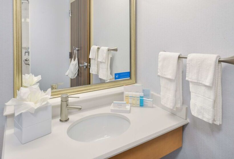 هتل Hampton Inn & Suites Denverspeer Boulevard
