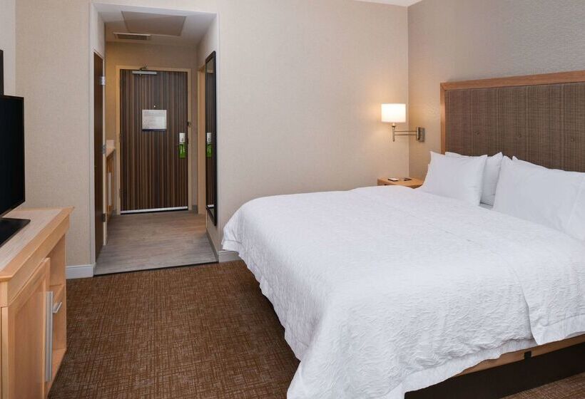Отель Hampton Inn & Suites Denverspeer Boulevard