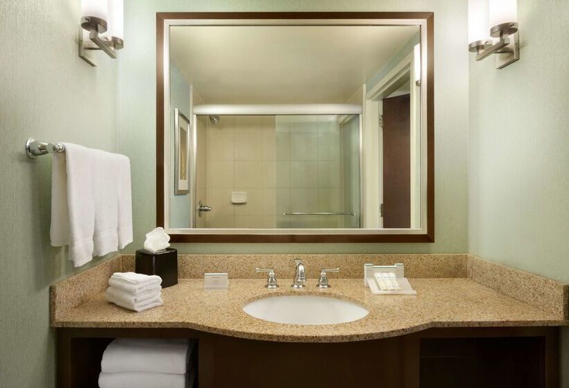 호텔 Hilton Garden Inn Atlanta Downtown