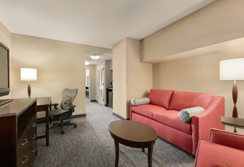 ホテル Hilton Garden Inn Atlanta Downtown