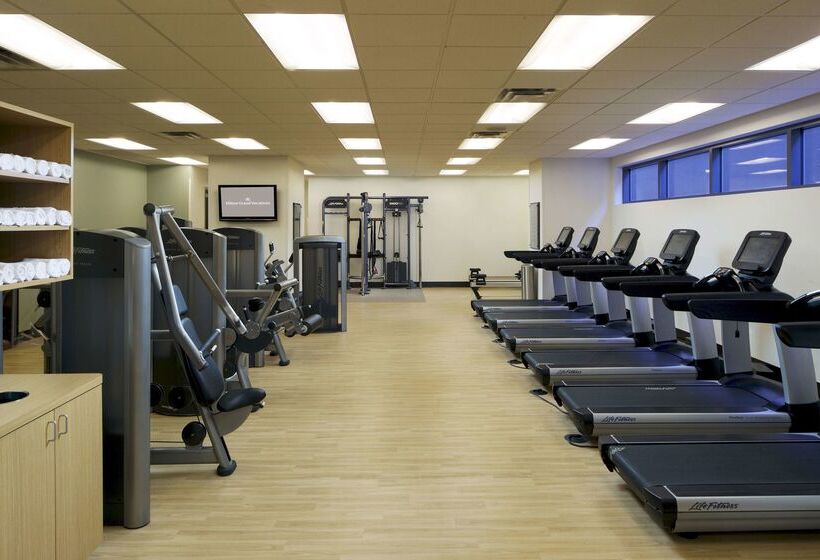 Отель Hilton Grand Vacations Club Elara Center Strip Las Vegas