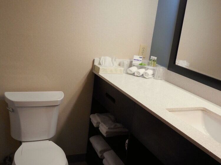 فندق Holiday Inn Express & Suites Carmel North – Westfield, An Ihg