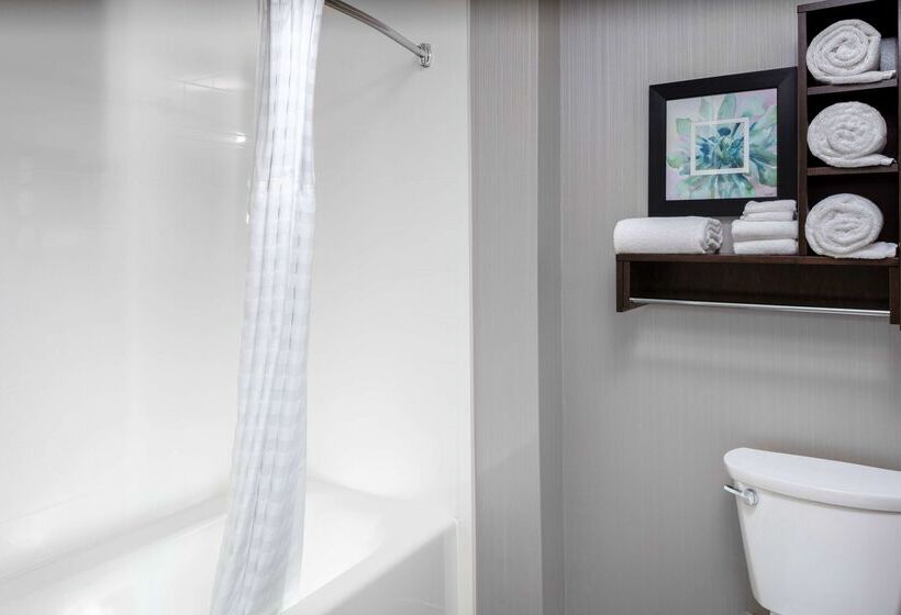 هتل Homewood Suites By Hilton Phoenix Airport South