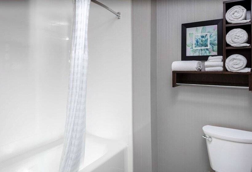 هتل Homewood Suites By Hilton Phoenix Airport South