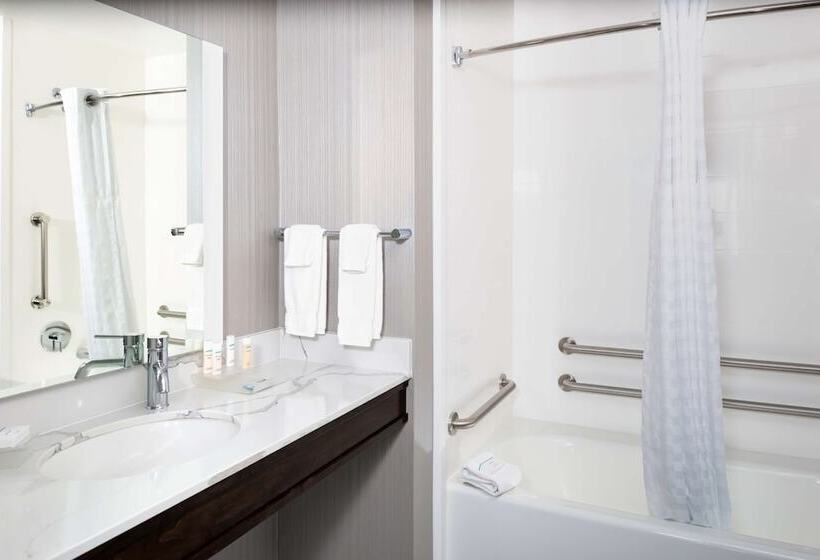 هتل Homewood Suites By Hilton Phoenix Airport South