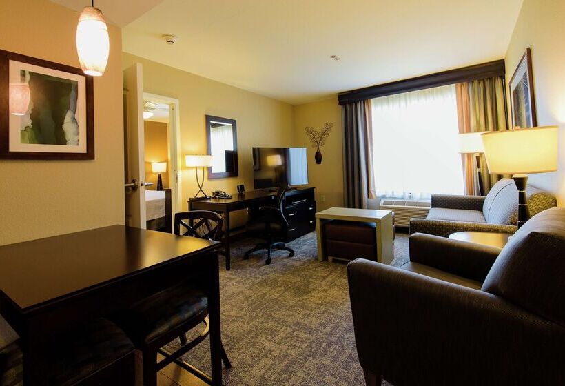 فندق Homewood Suites By Hilton Phoenix Chandler/fashion Center