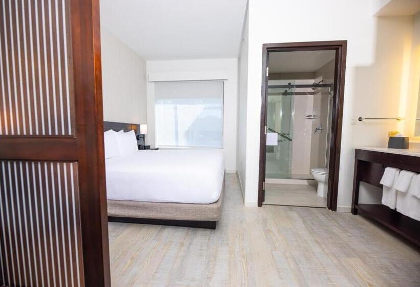 ホテル Hyatt Place West Palm Beach