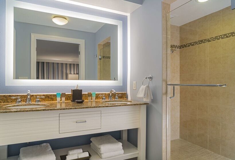 فندق Hyatt Regency Clearwater Beach Resort & Spa