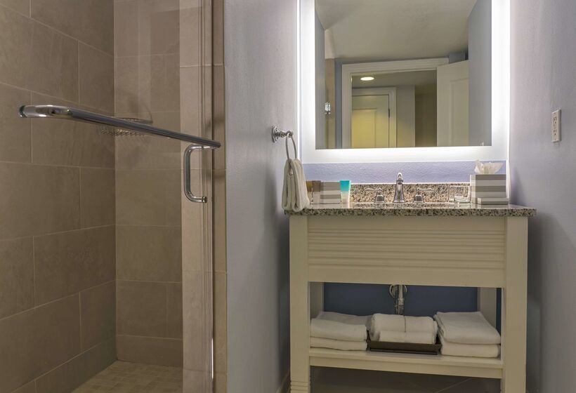 فندق Hyatt Regency Clearwater Beach Resort & Spa