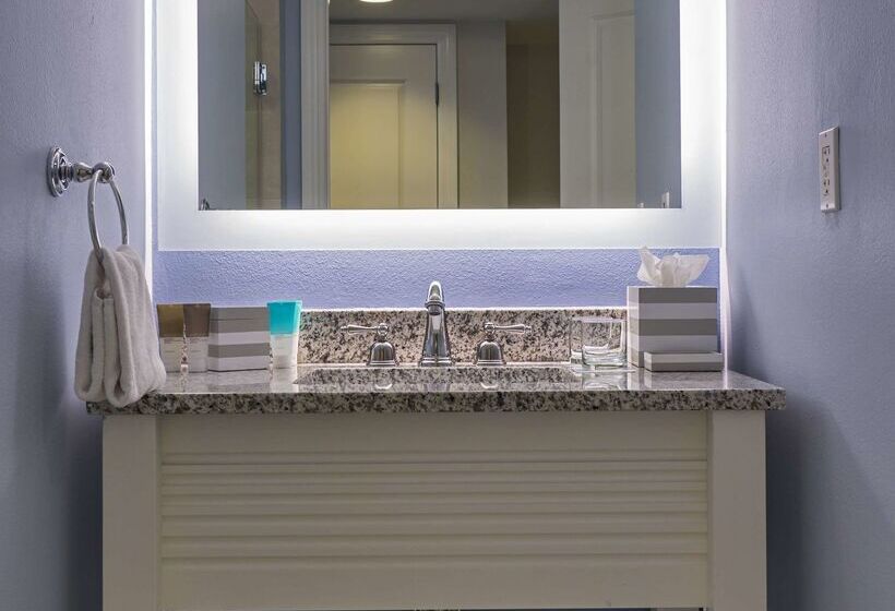 فندق Hyatt Regency Clearwater Beach Resort & Spa