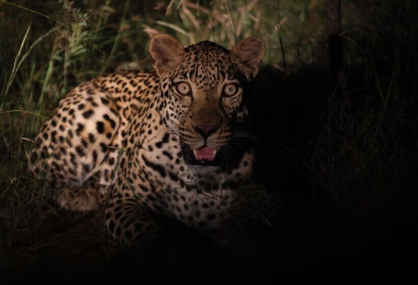 ホテル Kuname River Lodge