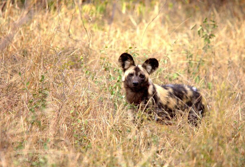 ホテル Kuname River Lodge