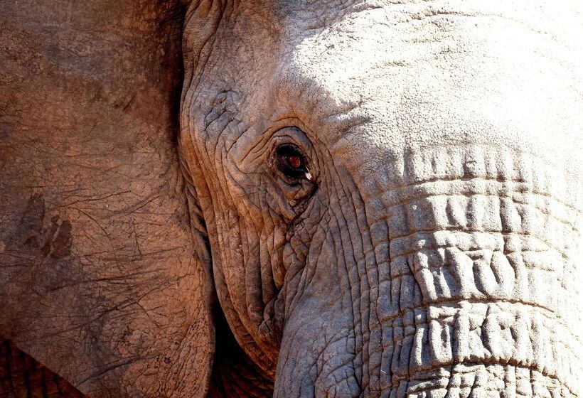 ホテル Kuname River Lodge