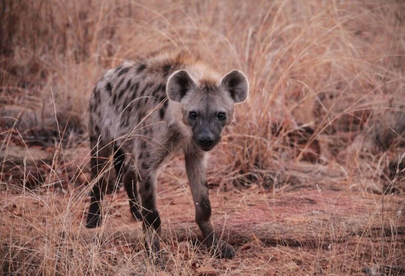 ホテル Kuname River Lodge